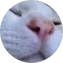 Aki Kaji profile picture